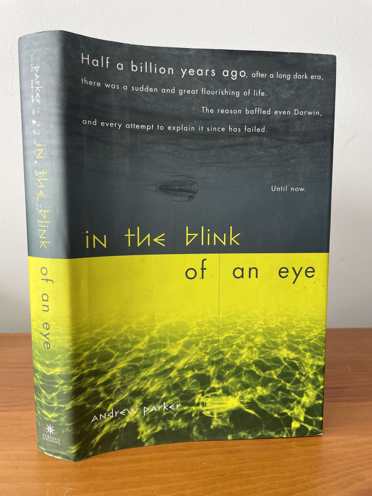 In the Blink of an Eye | Andrew Parker | first edition