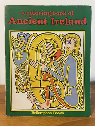Item #5856 A Coloring Book of Ancient Ireland. W. Stein